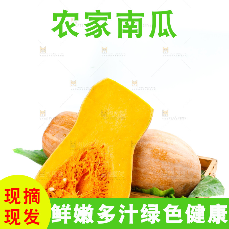 白底上的老南瓜