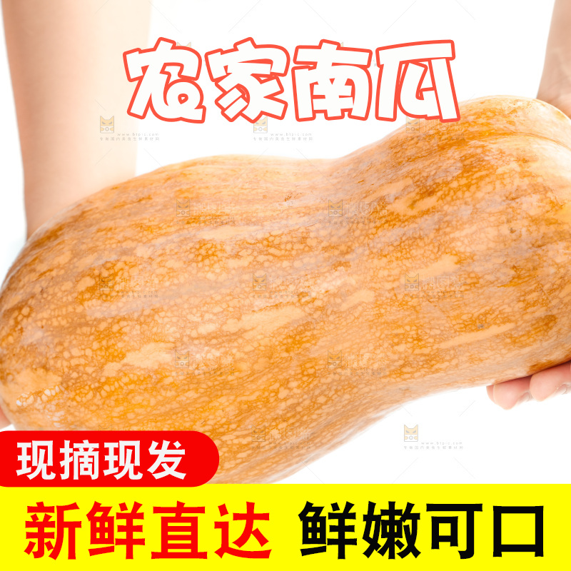 白底上的老南瓜