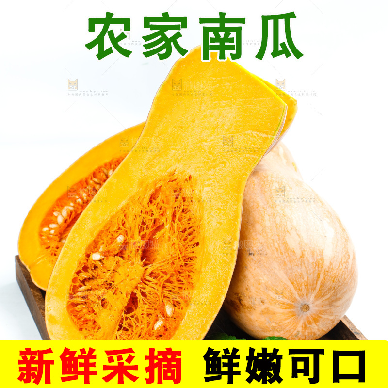 白底上的老南瓜