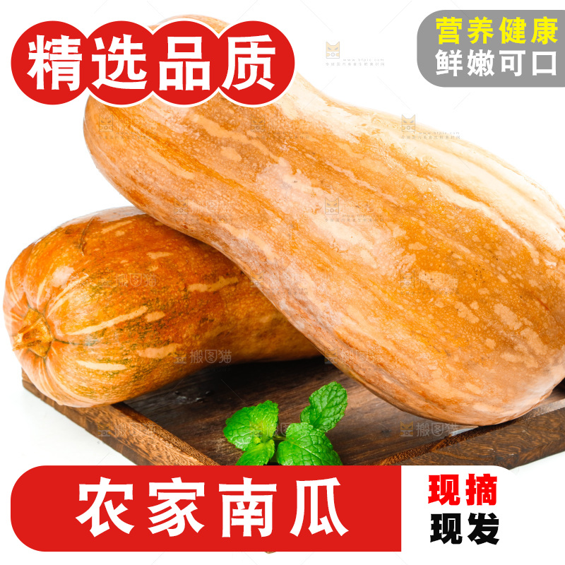 白底上的老南瓜