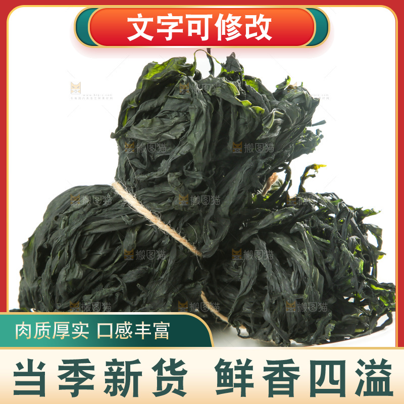 白底上的裙带菜