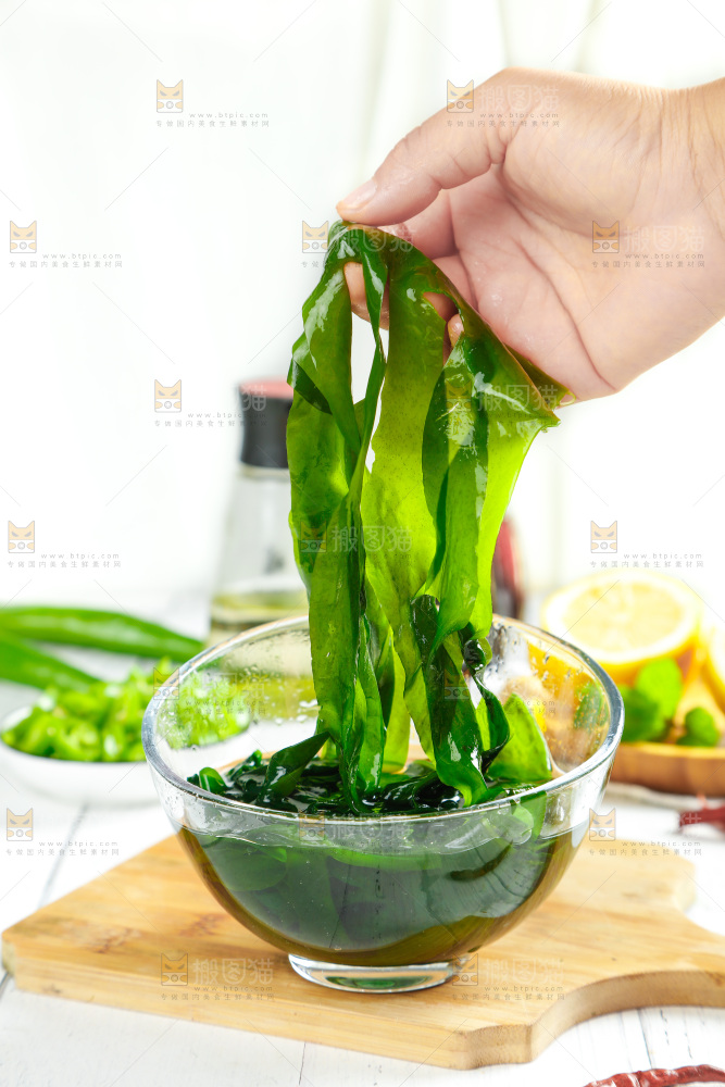 浅底上的裙带菜