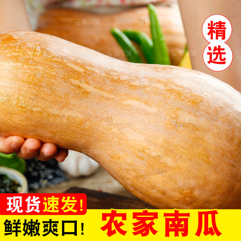深底上的老南瓜