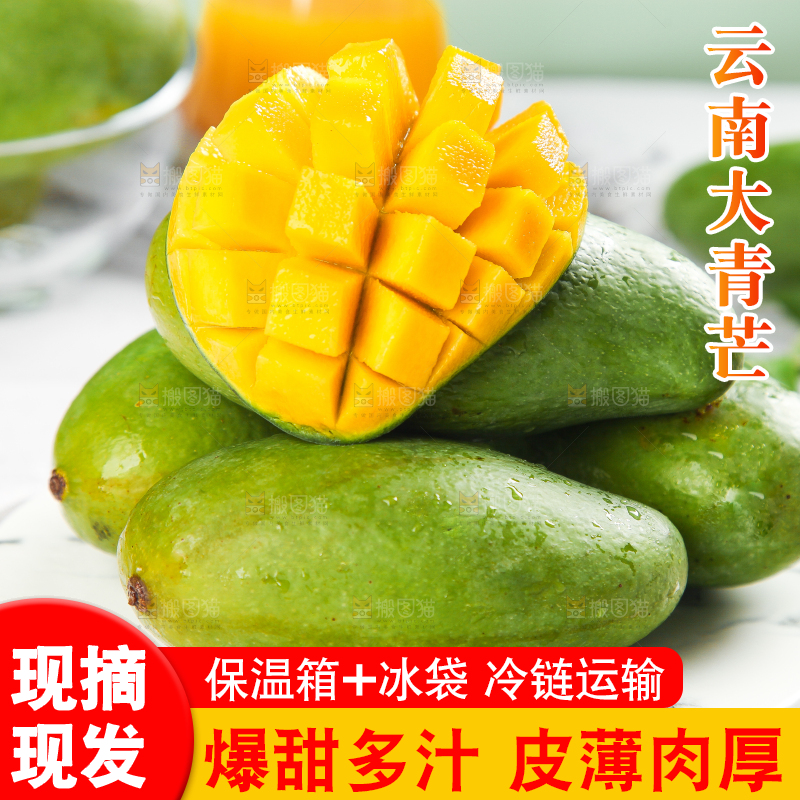 浅底上的新鲜大青芒