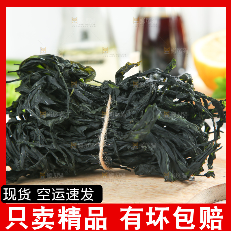 浅底上的裙带菜
