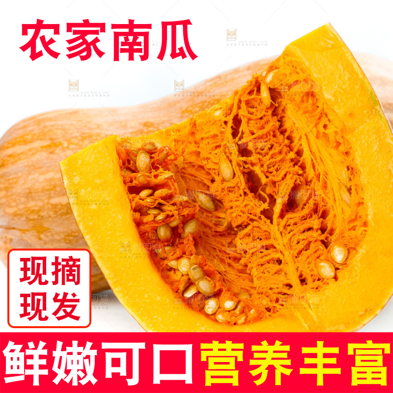 白底上的老南瓜