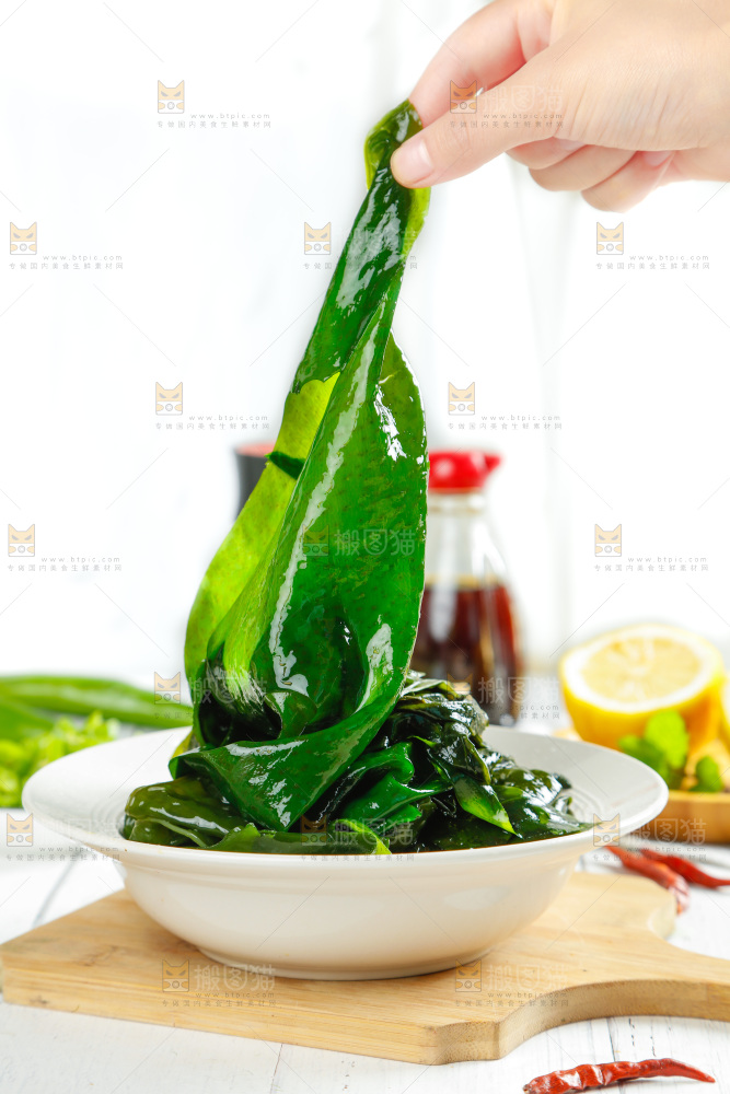 浅底上的裙带菜