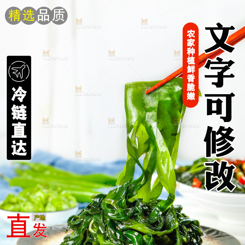 浅底上的裙带菜