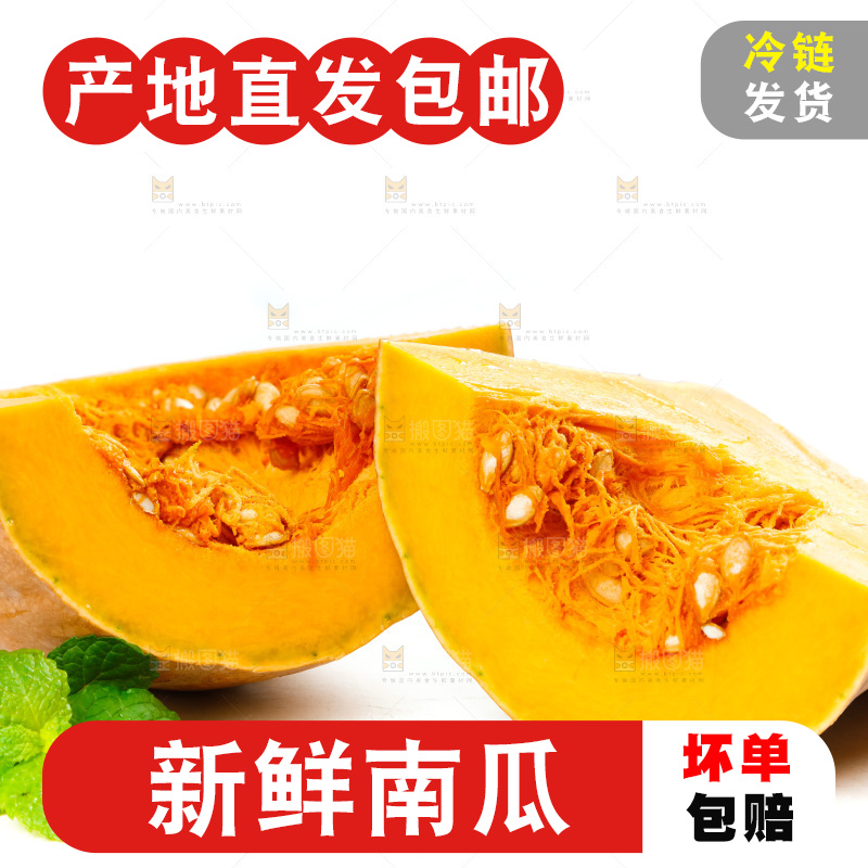 白底上的老南瓜