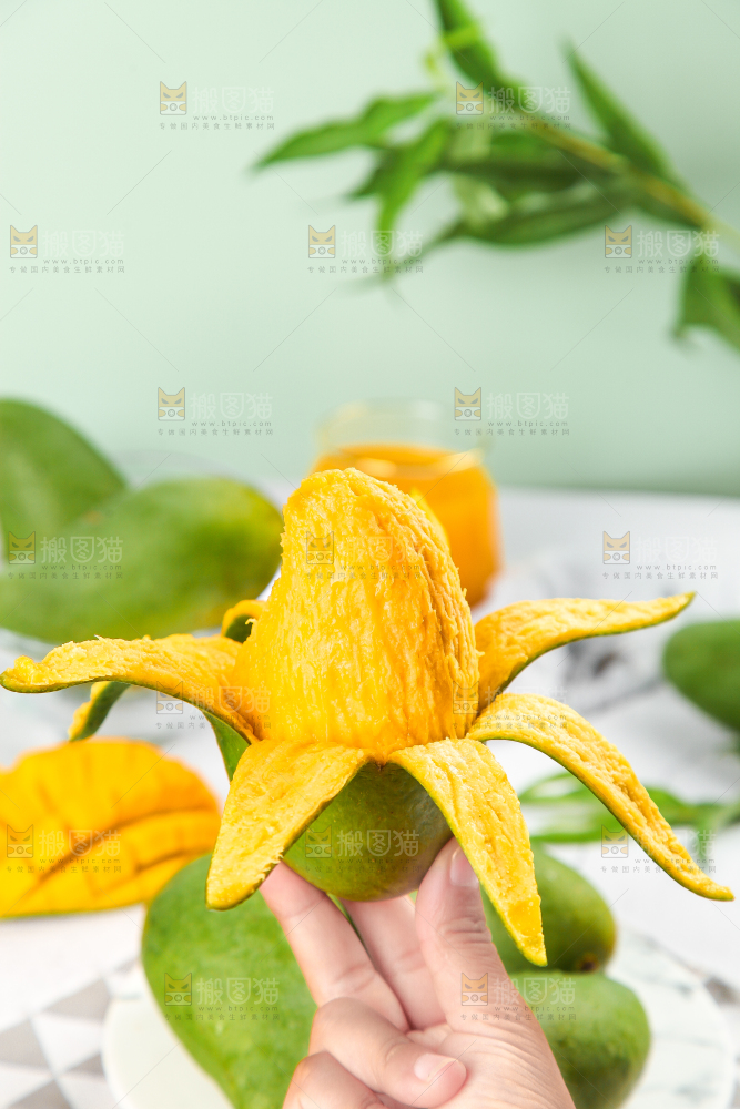浅底上的新鲜大青芒
