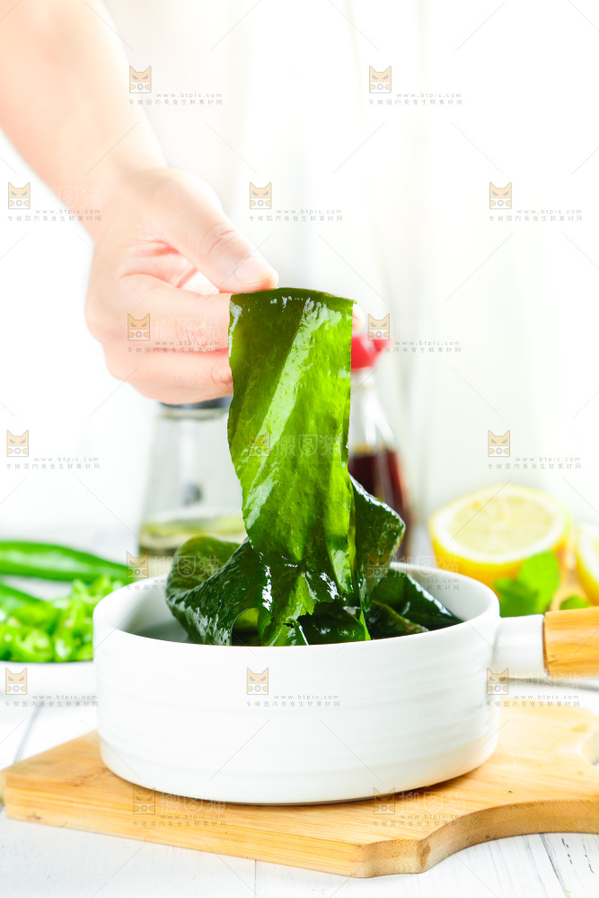 浅底上的裙带菜