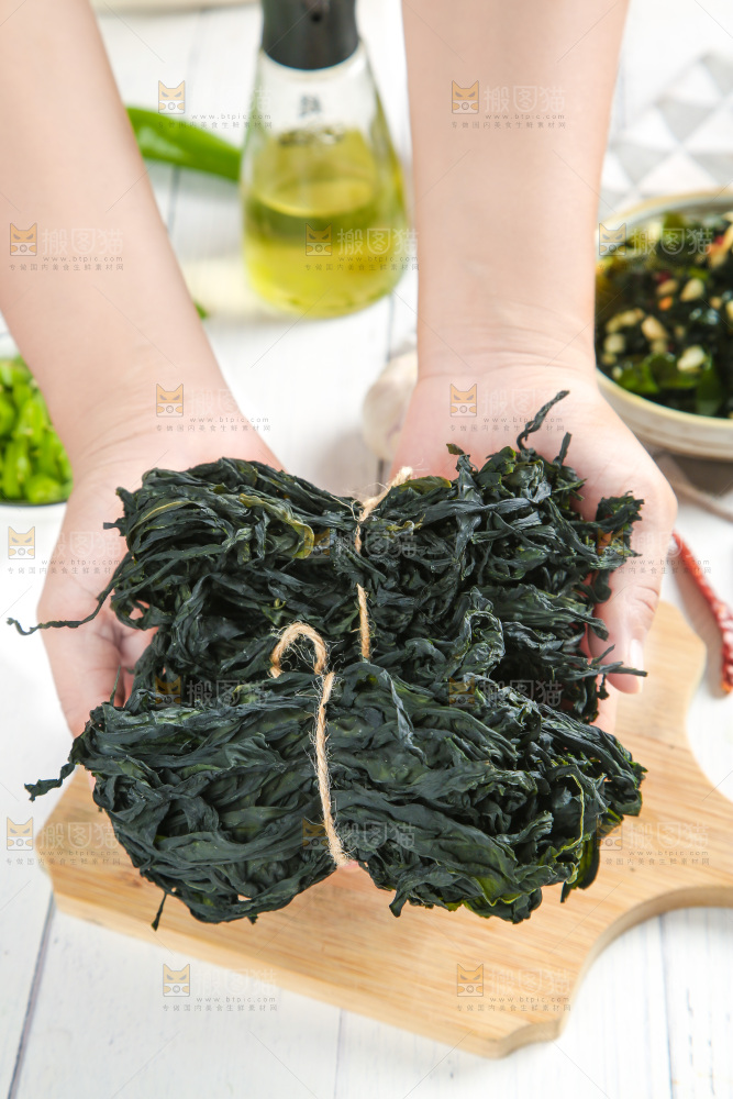 浅底上的裙带菜