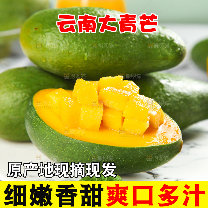 浅底上的新鲜大青芒