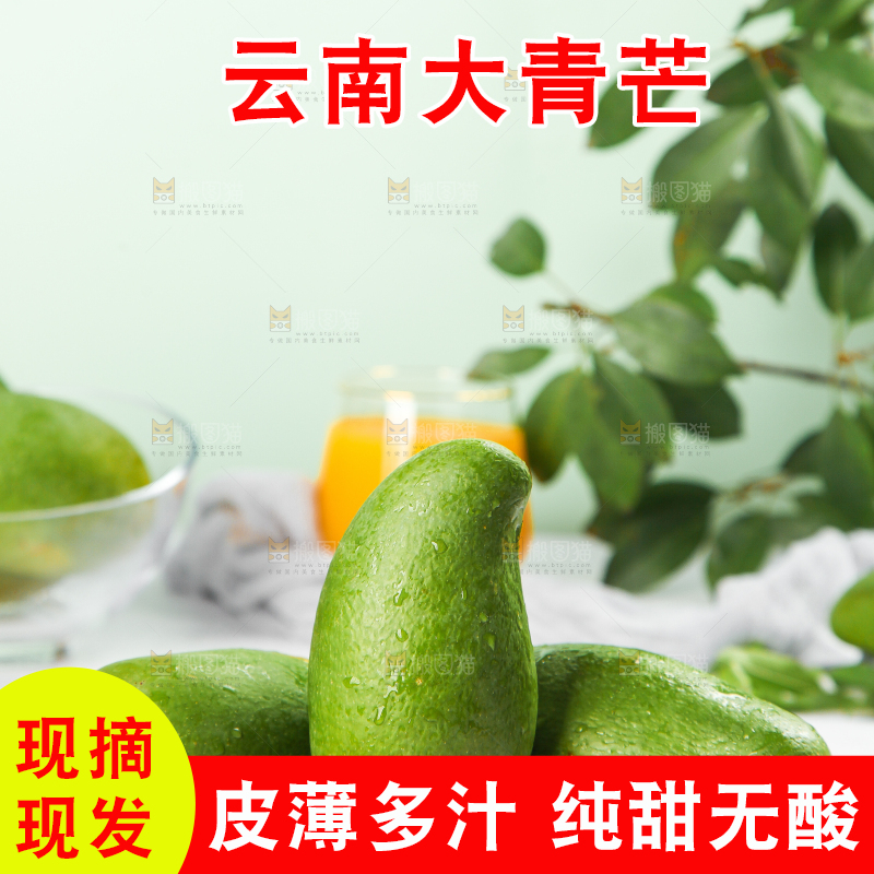 浅底上的新鲜大青芒