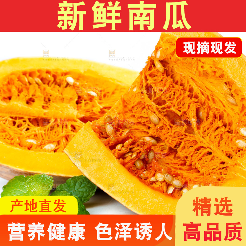 白底上的老南瓜