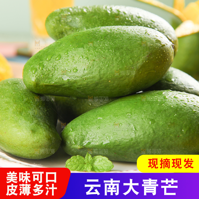 浅底上的新鲜大青芒