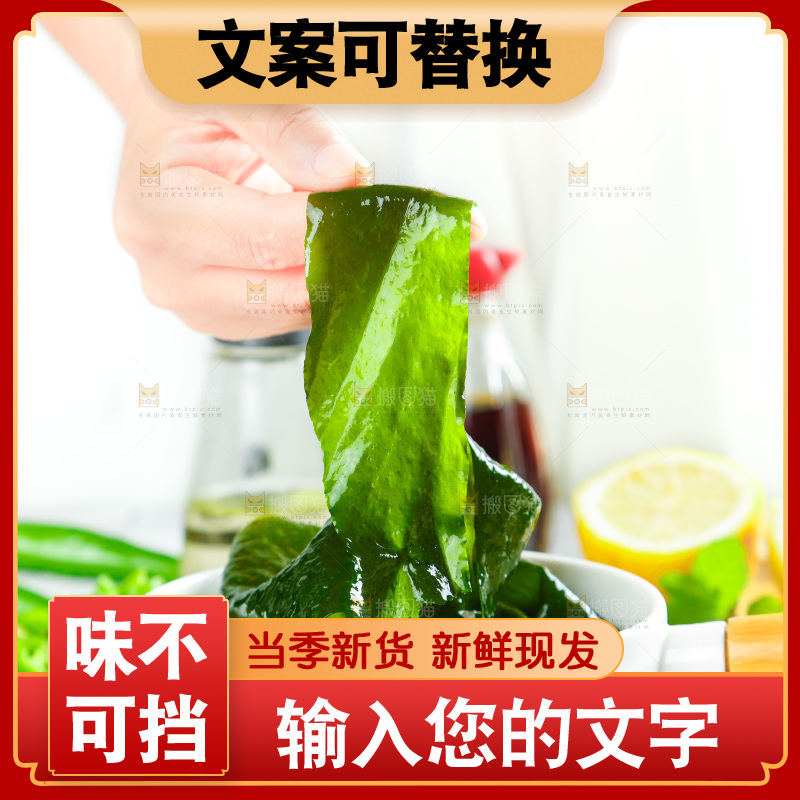 浅底上的裙带菜