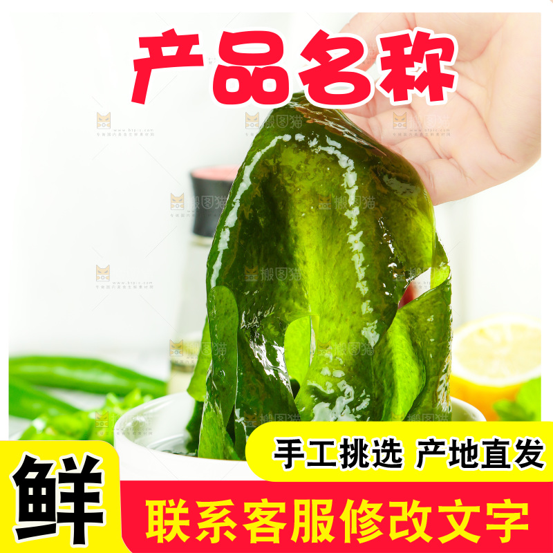 浅底上的裙带菜