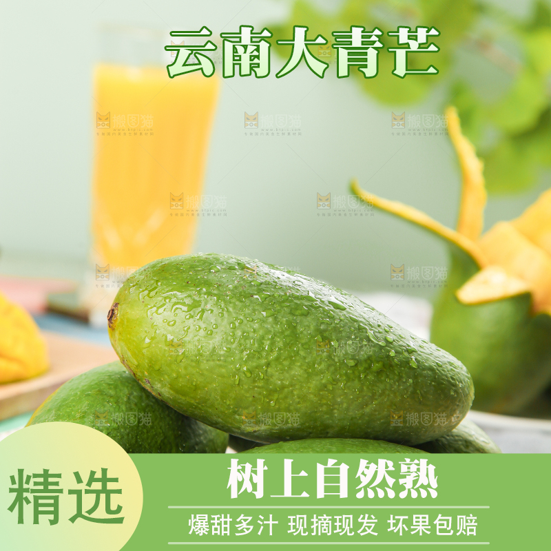 浅底上的新鲜大青芒