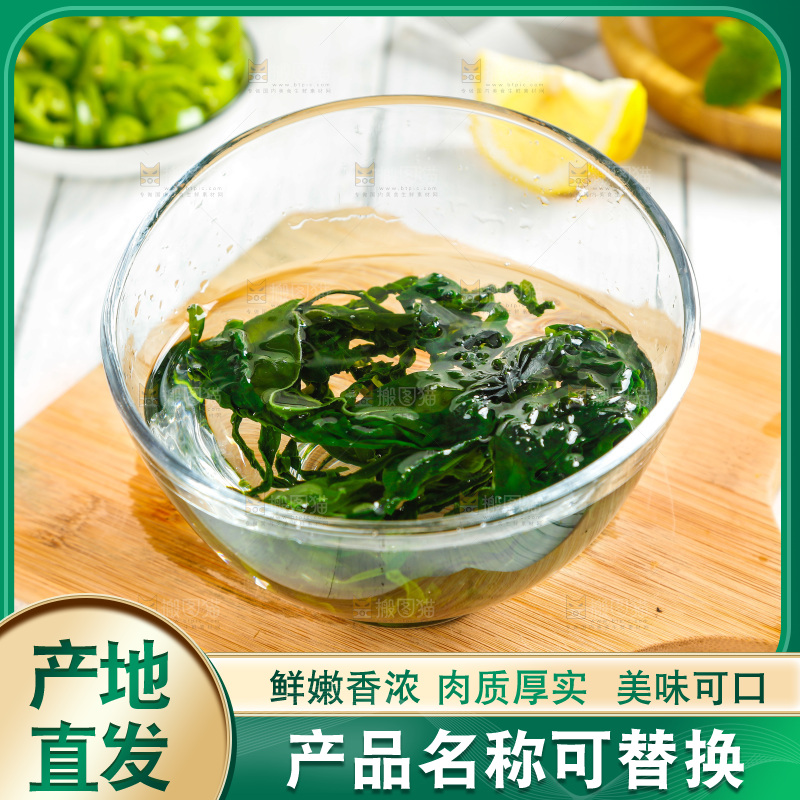 浅底上的裙带菜