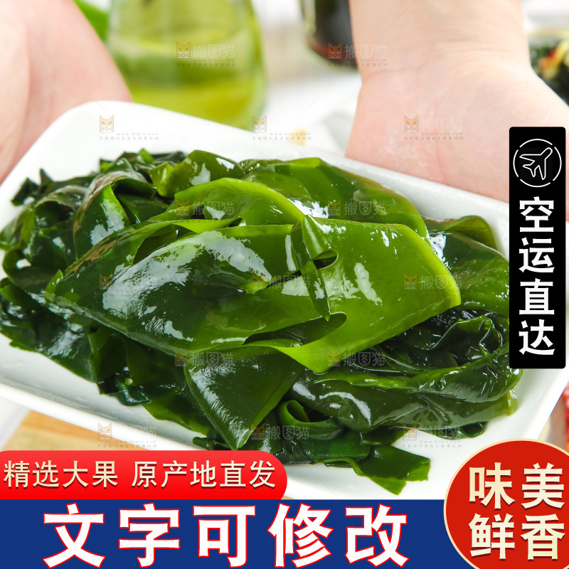浅底上的裙带菜