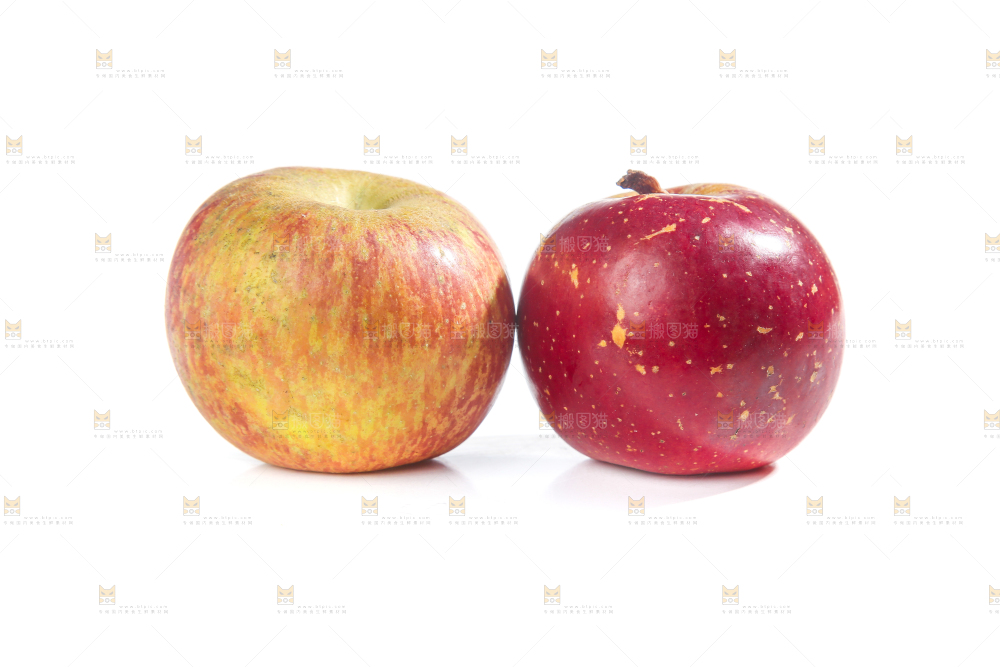白底上的昭通丑苹果