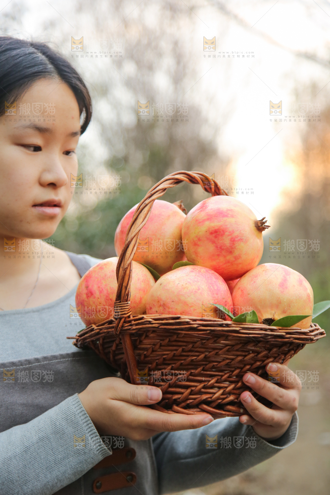 手里拿着突尼斯石榴