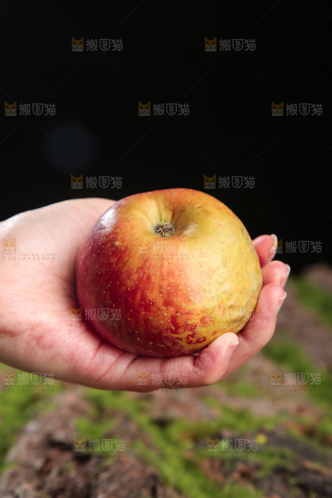 手里拿着昭通丑苹果