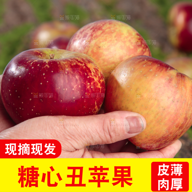 手里拿着昭通丑苹果