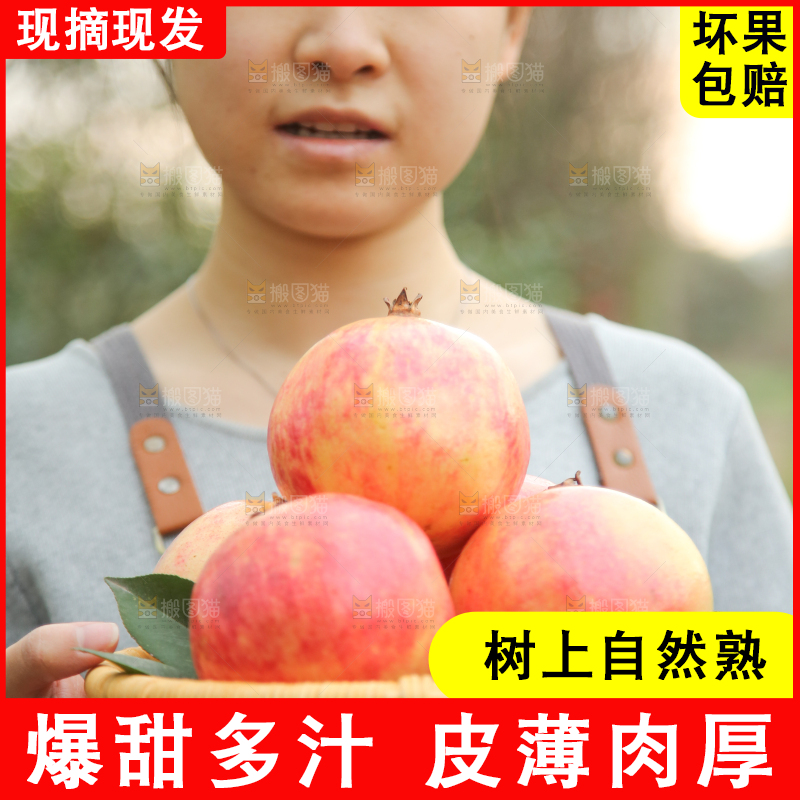 手里拿着突尼斯石榴