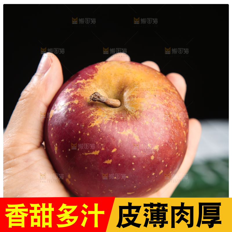 手里拿着昭通丑苹果