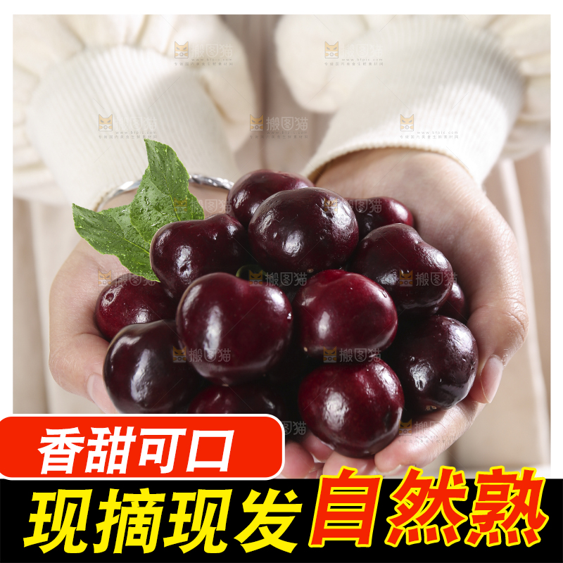 浅底上的智利车厘子