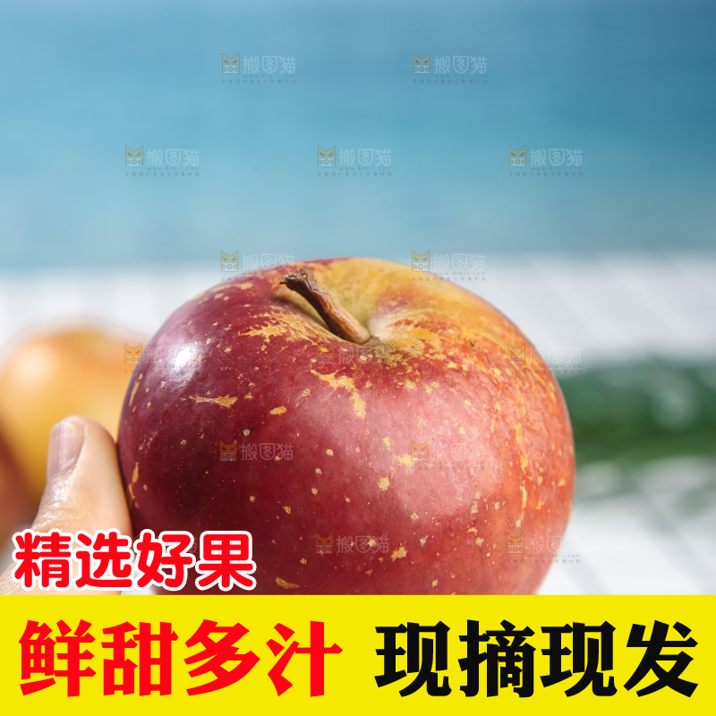 浅底上的昭通丑苹果