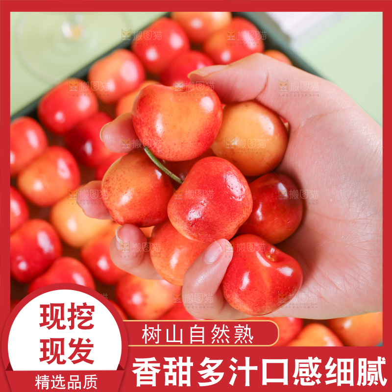 浅底上的黄金车厘子