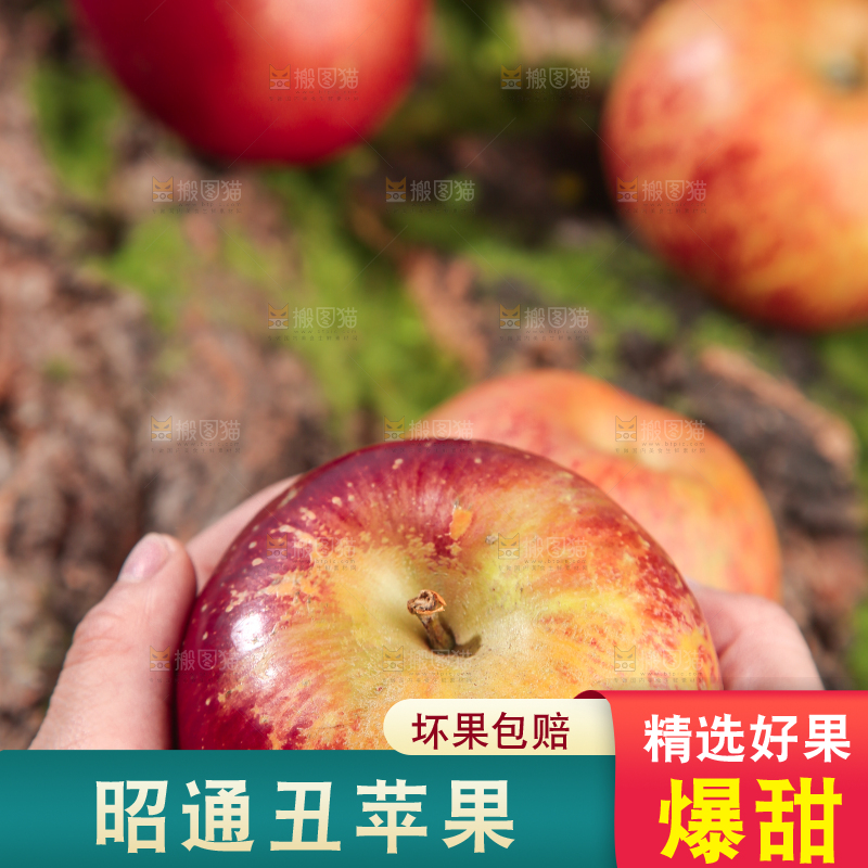 手里拿着昭通丑苹果