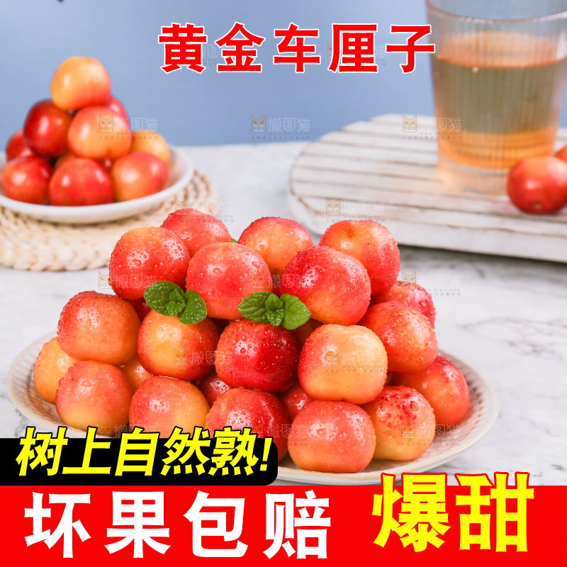 浅底上的黄金车厘子