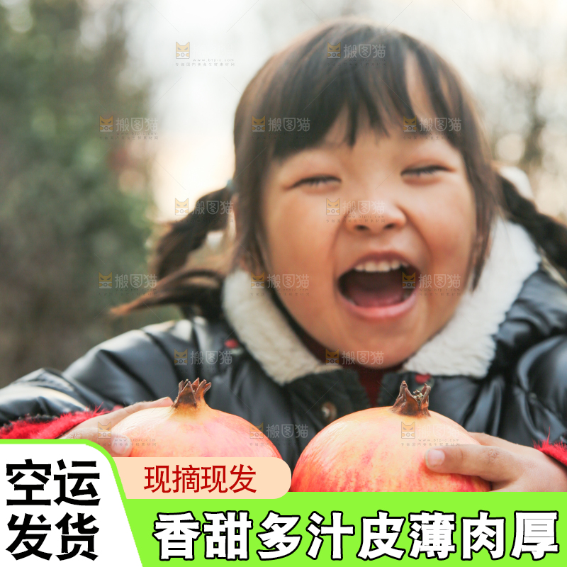 手里拿着突尼斯石榴