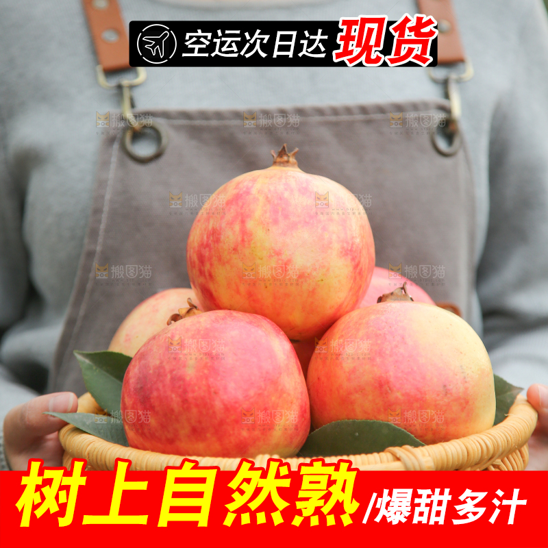 手里拿着突尼斯石榴