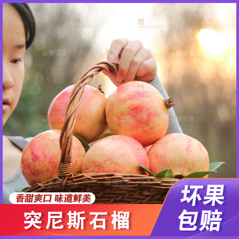 手里拿着突尼斯石榴