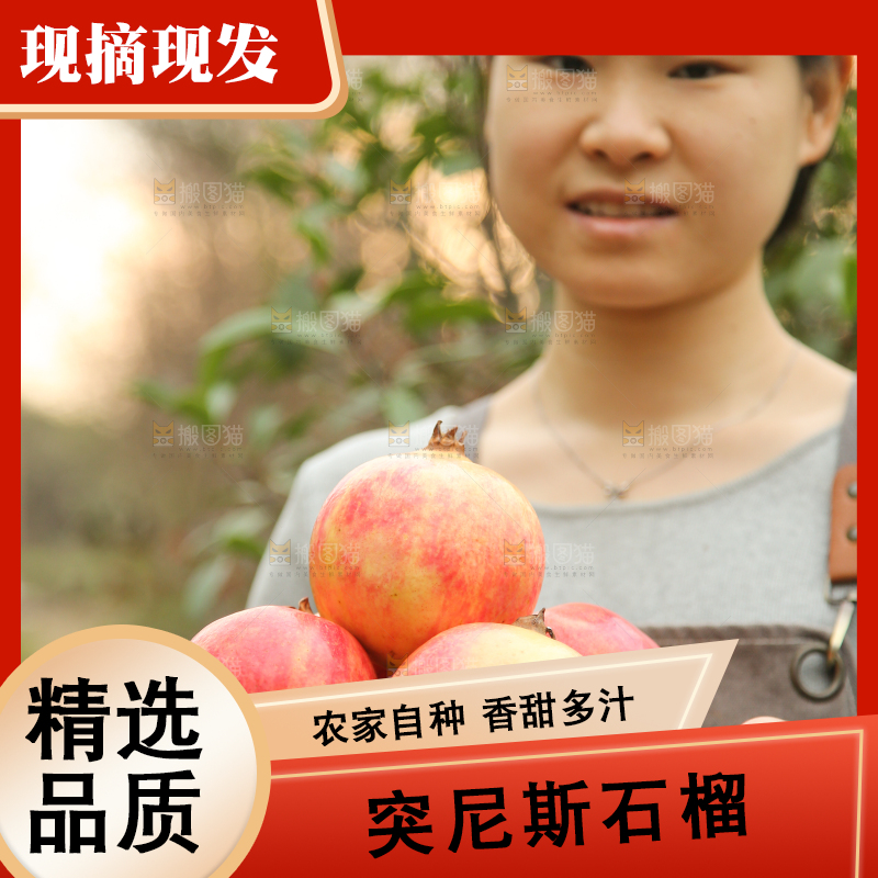 手里拿着突尼斯石榴