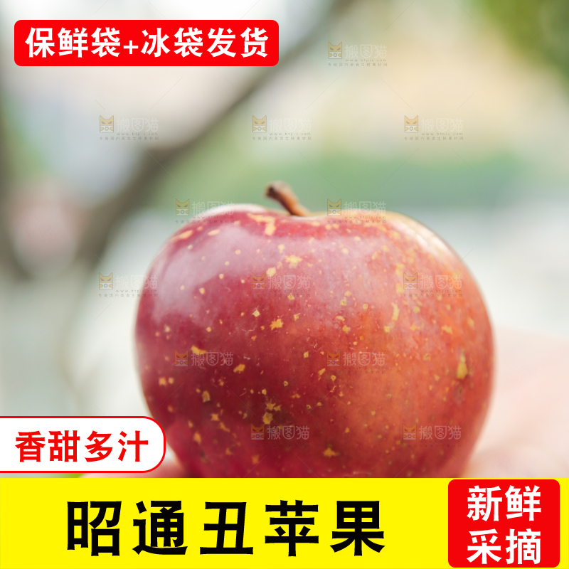 手里拿着昭通丑苹果