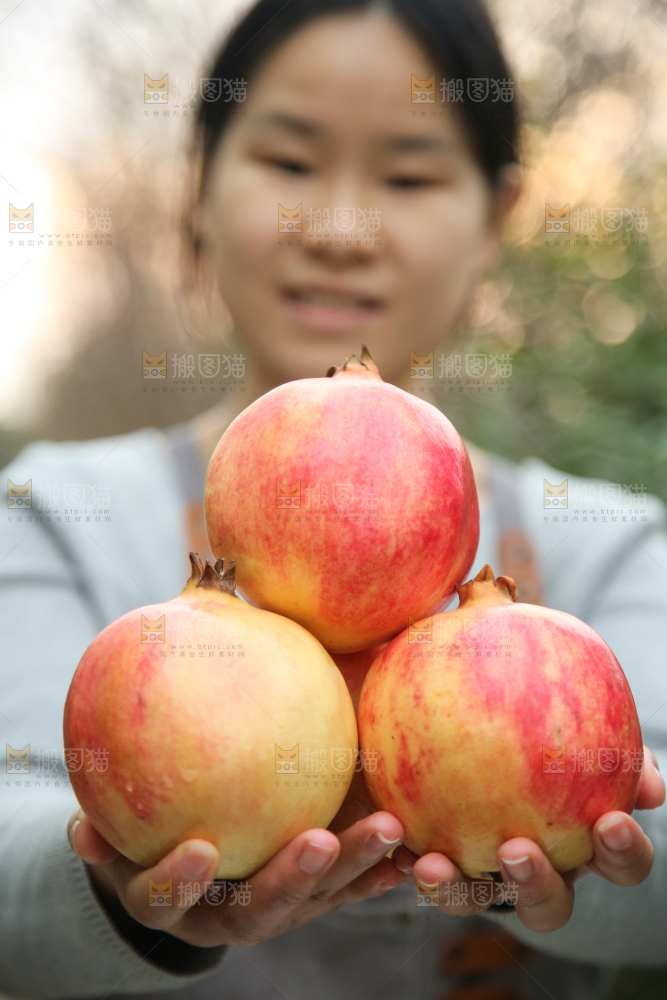 手里拿着突尼斯石榴