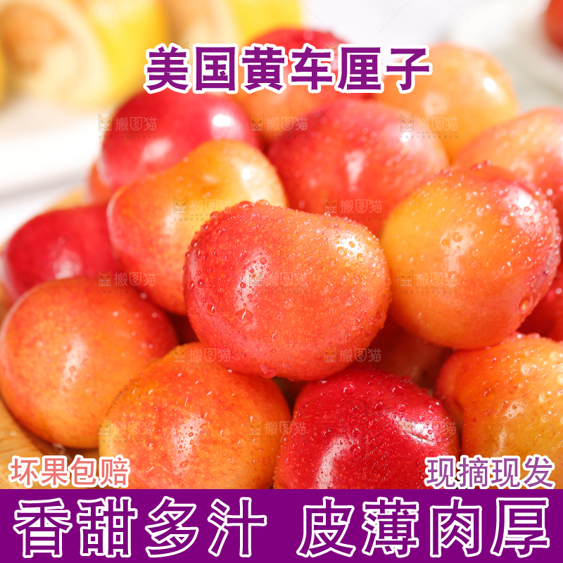 浅底上的黄金车厘子
