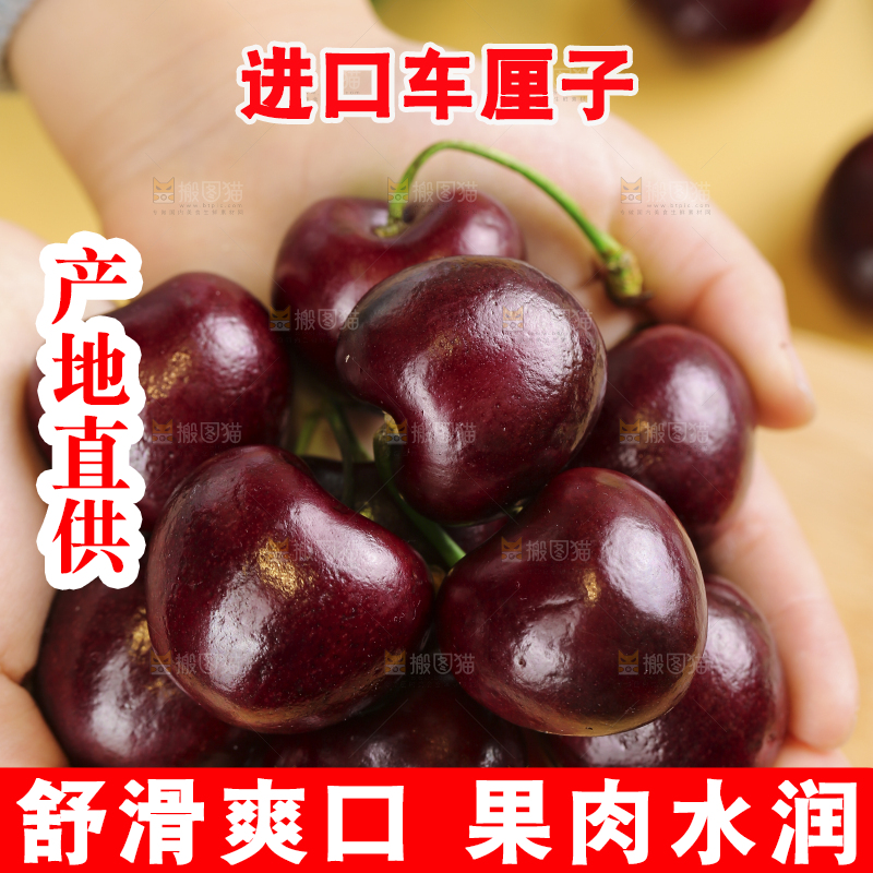 浅底上的智利车厘子