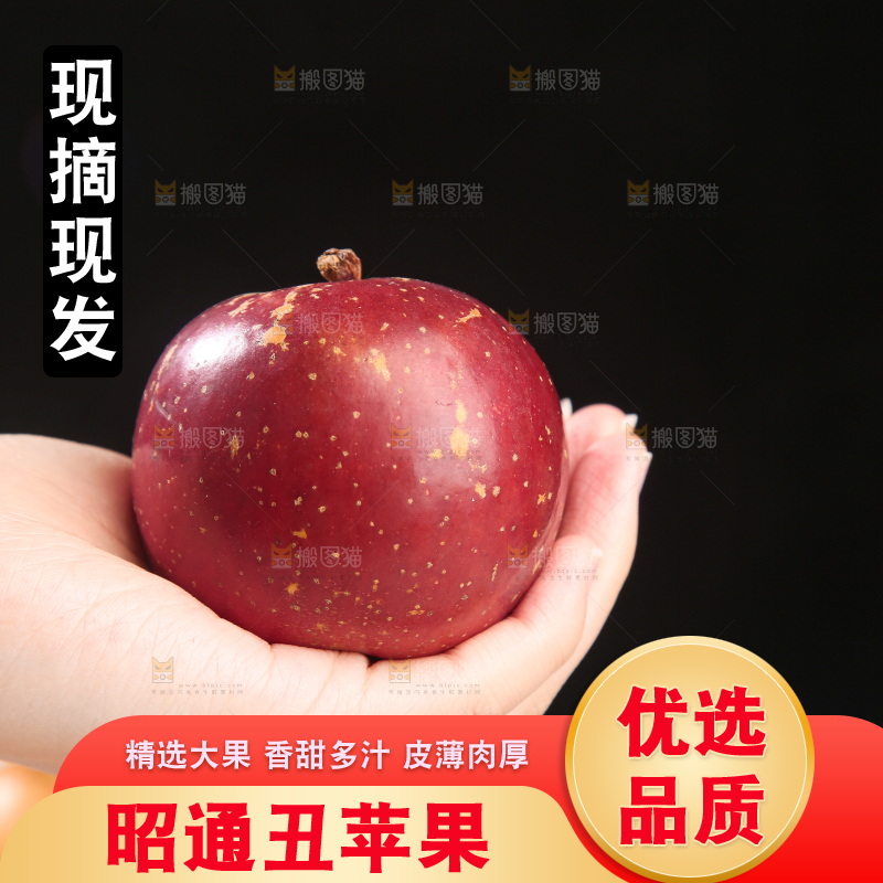 浅底上的昭通丑苹果