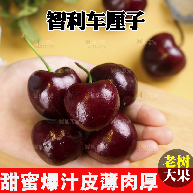 浅底上的智利车厘子
