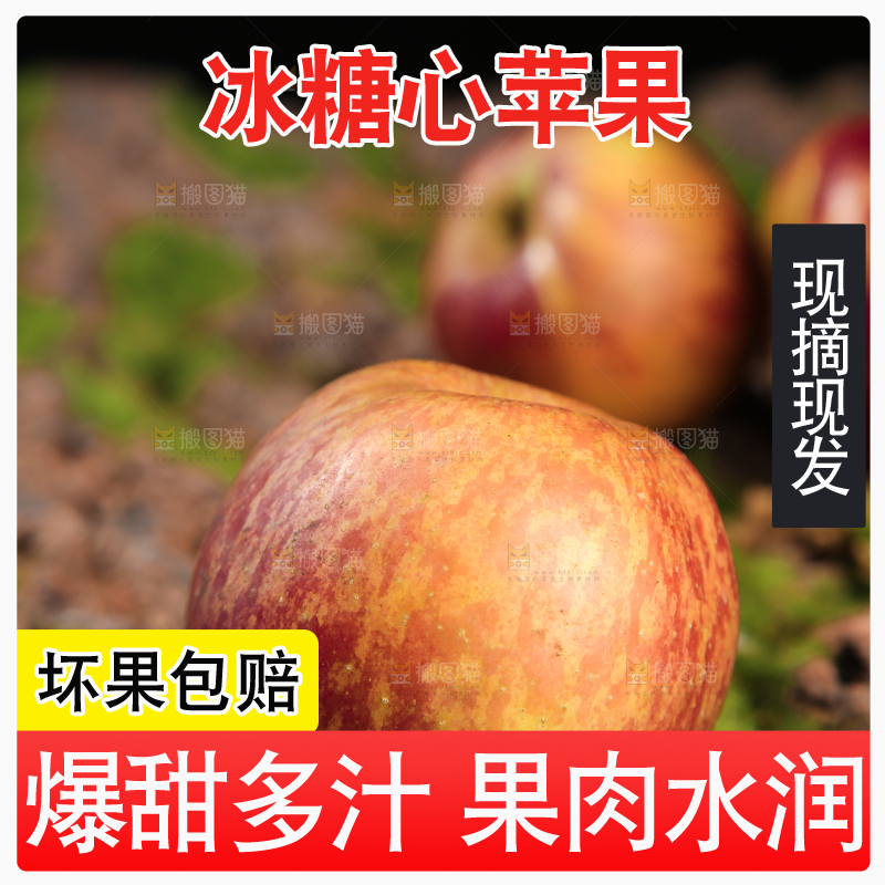 手里拿着昭通丑苹果