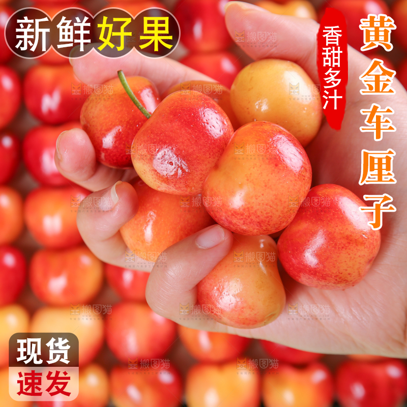 浅底上的黄金车厘子