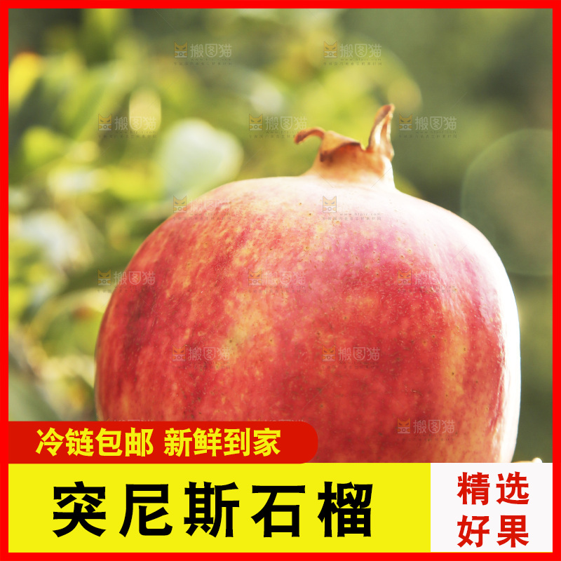 手里拿着突尼斯石榴