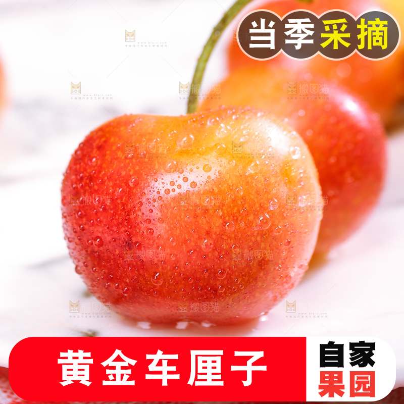 浅底上的黄金车厘子